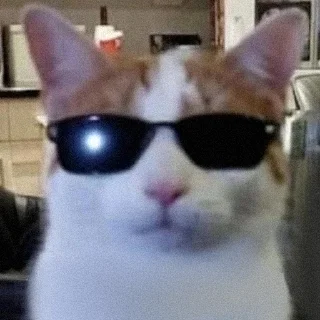 😎