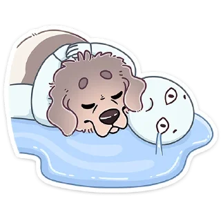 🐶