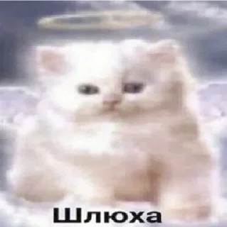 😇