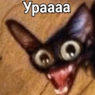🥳