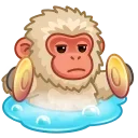🐵