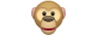 🐵