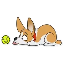🎾