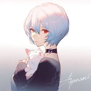 🌟