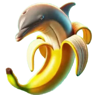 🐬