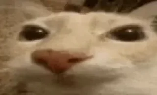 😐