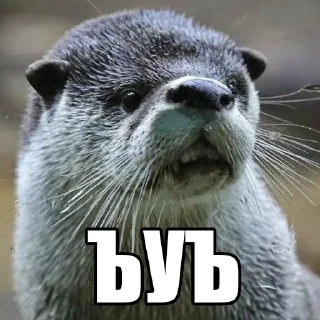 🥴