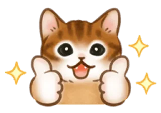 🐱