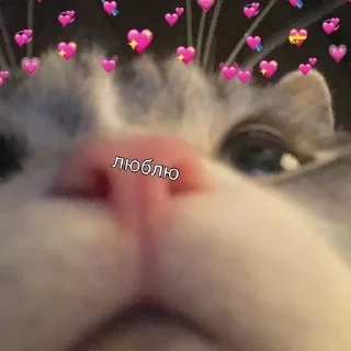 💜