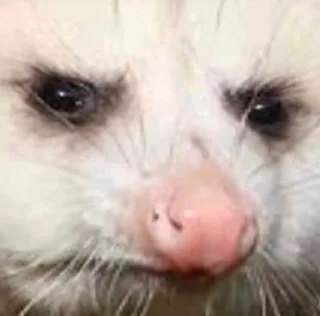 😐