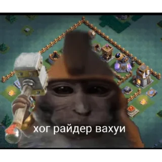 🐵
