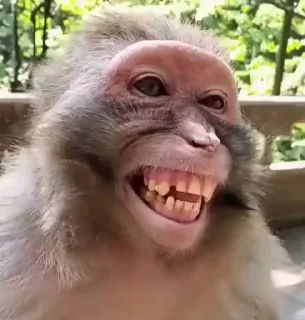 😅