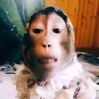🌟