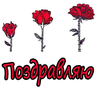 🌹