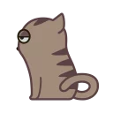 😾
