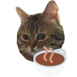 ☕️