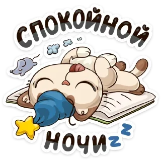 💤