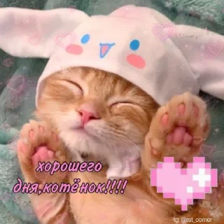 💞