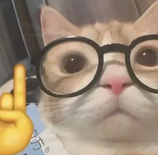 🤓