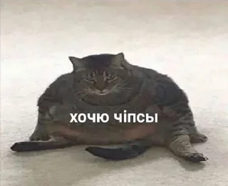 😋