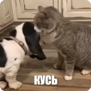 😤