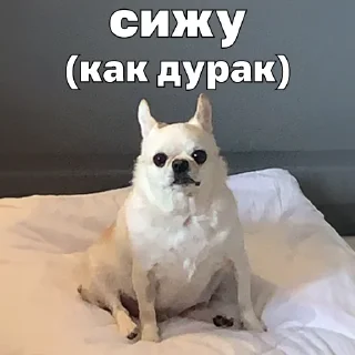 🐒
