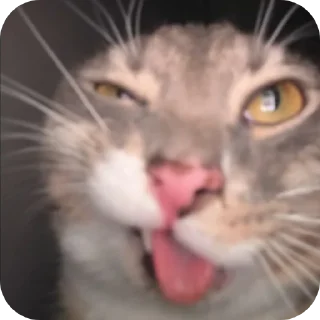 👍