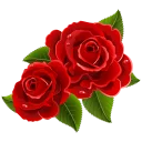 🌹