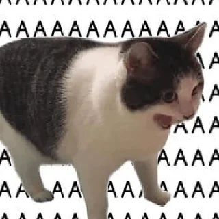 🫥