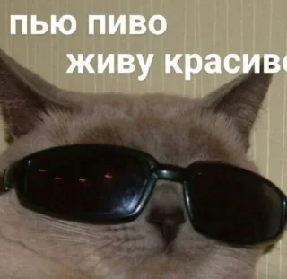 😎
