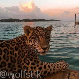 😎