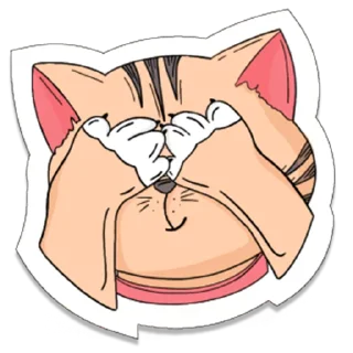 🙈