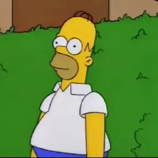 🪽