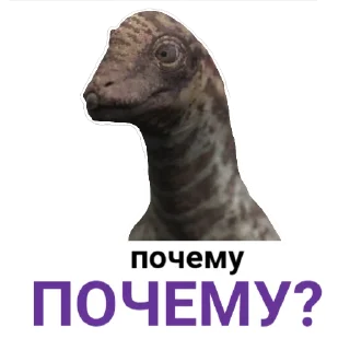 ❓️