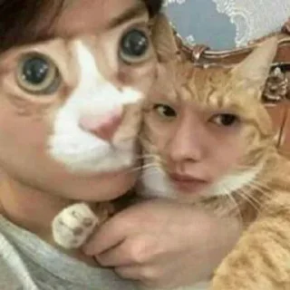 🐈