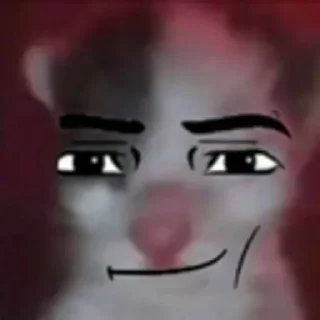 😼
