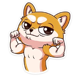 💪