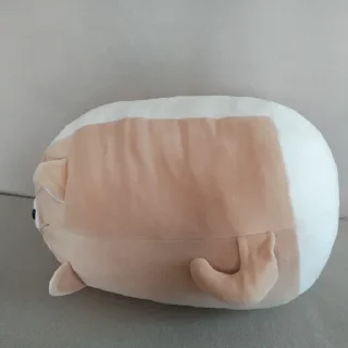 😴