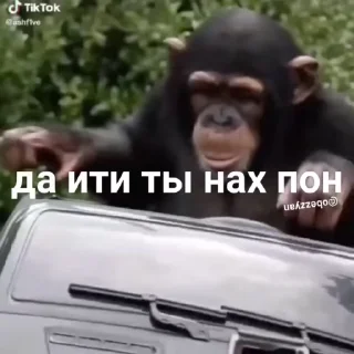 😎