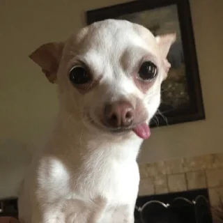 😜
