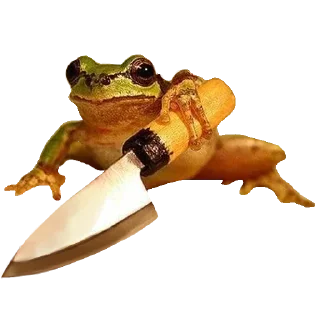 🐸