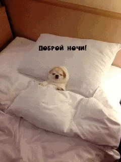 🤧