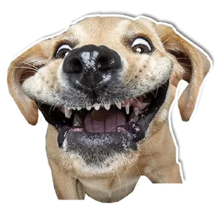 🙂