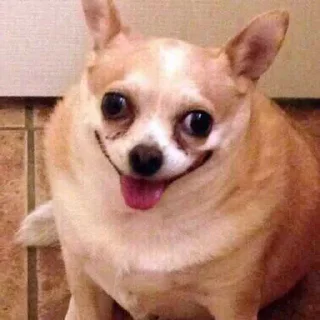 🤪