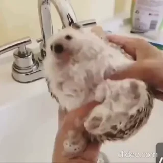 😶