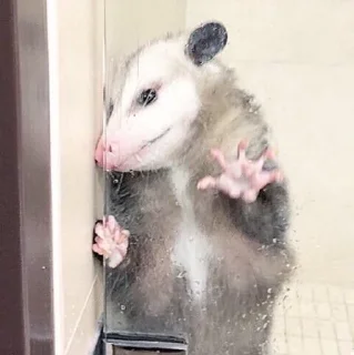 🤗