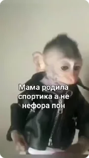 😎