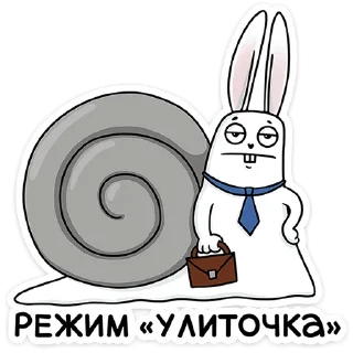 🐌