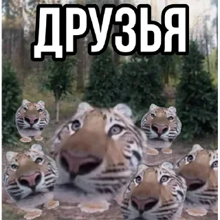 🤔
