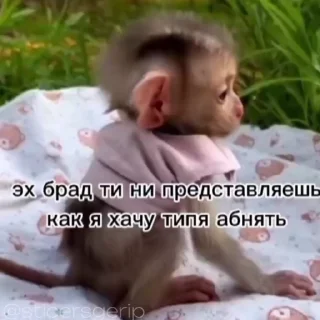 😡